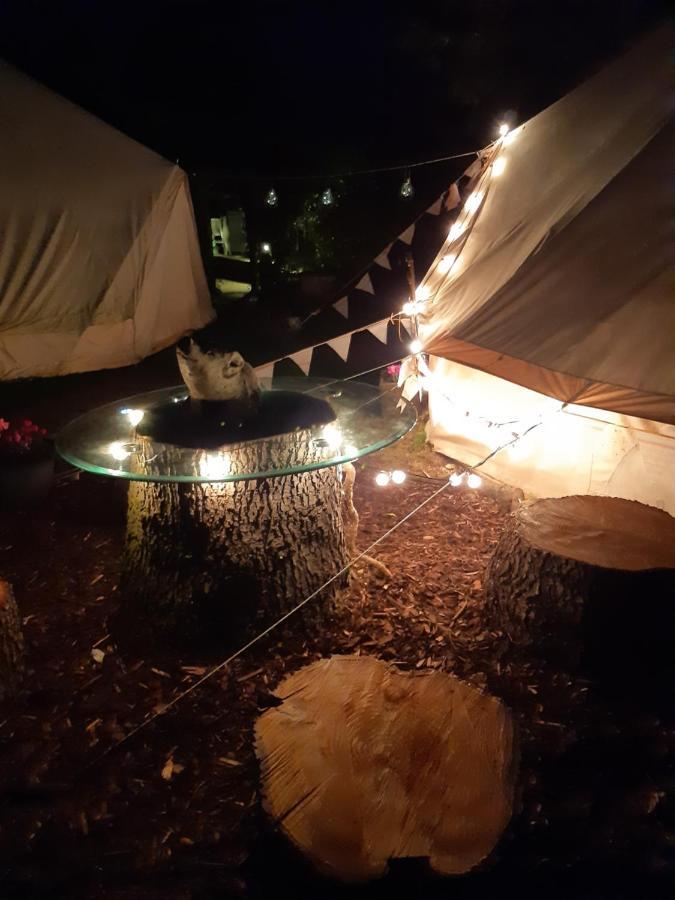 The White Dove Bed And Breakfast With Glamping Newark Showground Εξωτερικό φωτογραφία